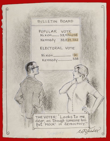 The Voter cartoon