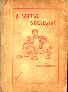 A Little Socialist